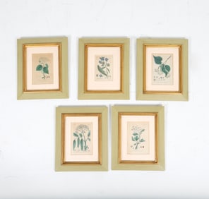 W. BAXTER ANTIQUE BOTANICAL PLATE ETCHINGS