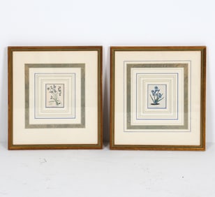 PAIR OF BOTANICAL PRINTS