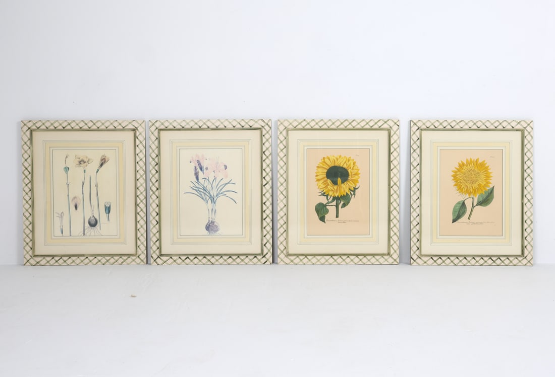 GROUPING OF BOTANICAL LITHOGRAPHS (1 of 11)