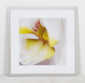 SEBASTIAN MUSIAL ORCHID PHOTOGRAPHY PRINT