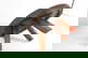 item-210657158=15