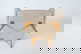 item-210657176=13