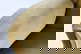 item-210657264=9