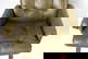 item-210657266=12