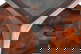 item-210657271=9
