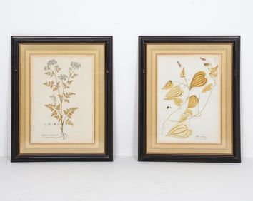 VINTAGE BOTANICAL PRINTS