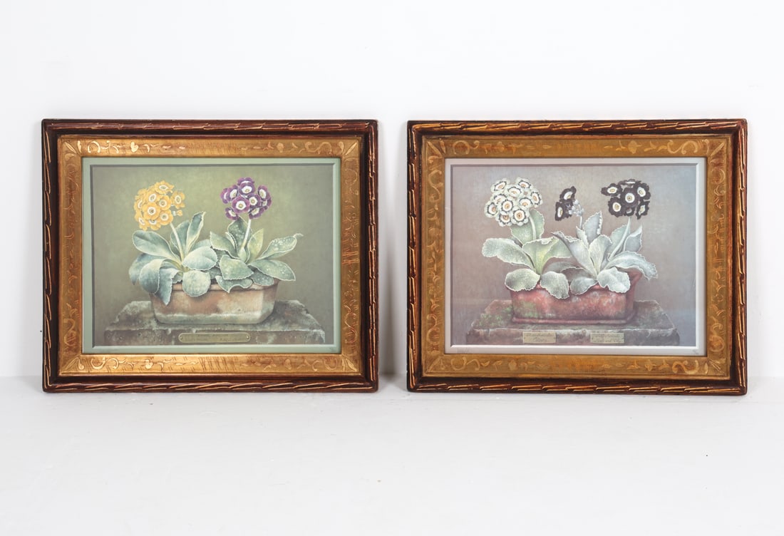 JOSE ESCOFET (SPAIN B. 1930) BOTANICAL PRINTS: Signed, with editions 47/500 to margins. Frame with intricate carvings to inner paneling. Frame: H 18" x W 22" Sight: H 13" x W 17" Condition: Slight nicks and marks to frame.