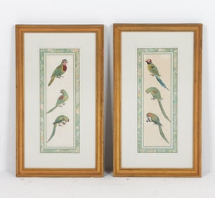 PAIR OF ANTIQUE HAND-COLORED PARAKEET BIRD PRINTS