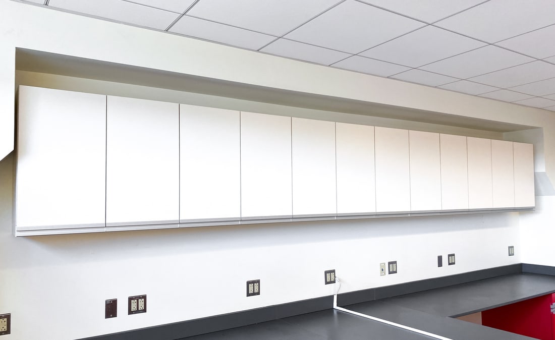 LABORATORY WALL MOUNTED STORAGE CABINETS (1 of 3)