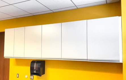 LABORATORY WALL MOUNTED STORAGE CABINETS