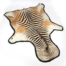 VINTAGE JONAS BROTHERS ZEBRA HIDE RUG