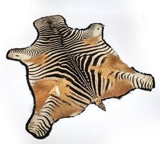 VINTAGE JONAS BROTHERS ZEBRA HIDE RUG