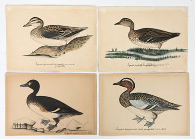 (4) 19TH C. RUSSIAN ORNITHOLOGICAL ILLUSTRATIONS