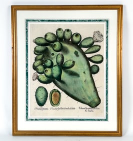 ORIGINAL BESSLER PRICKELY PEAR ENGRAVING