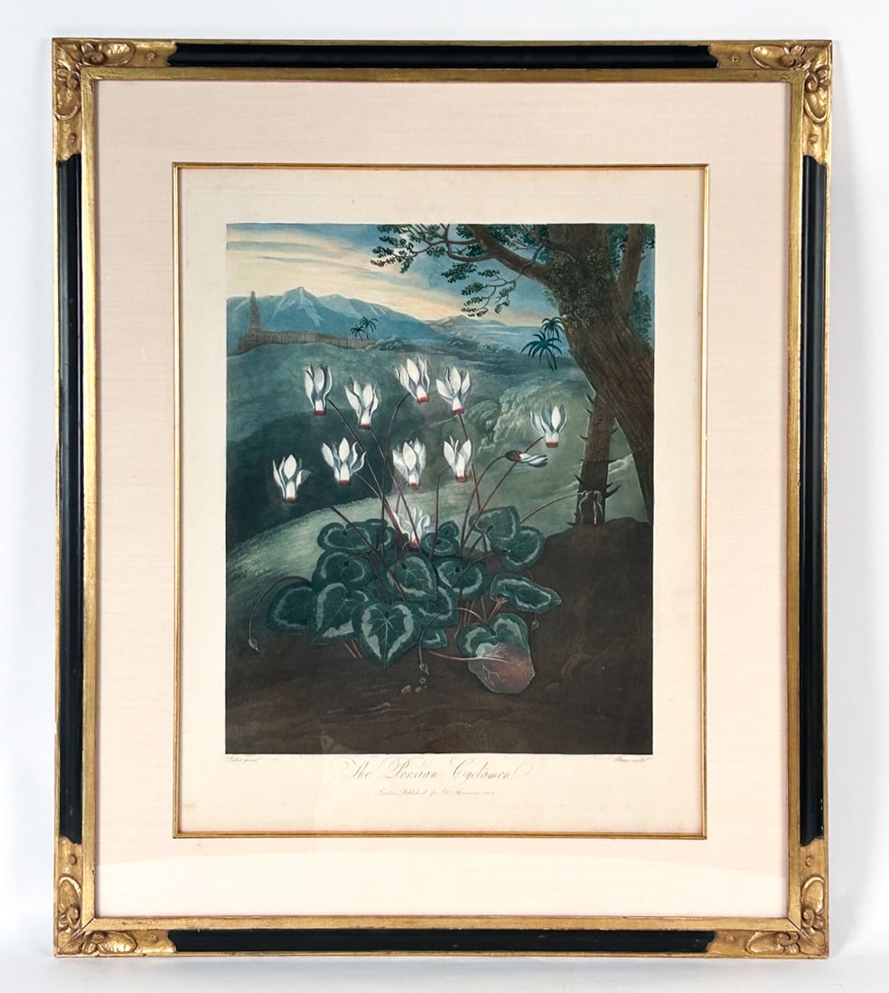 ORIGINAL TEMPLE OF FLORA PERSIAN CYCLAMEN MEZZO (1 of 9)