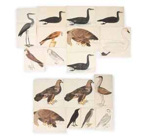 OLOF RUDBECK (20TH C.) LARGE SWEDISH BIRDS PRINTS