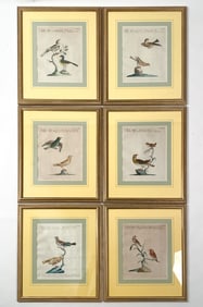 (6) SAVERIO MANETTI "STORIA NATURALE DEGLI UCELLI"