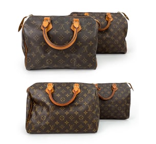 LOUIS VUITTON MONOGRAM SPEEDY HANDBAG GROUPING