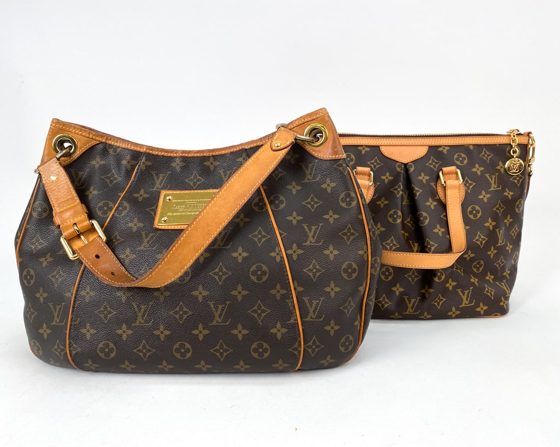 LOUIS VUITTON HOBO & TOTE BAG GROUPING (1 of 20)