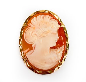 14K GOLD & ENAMEL CAMEO PENDANT BROOCH