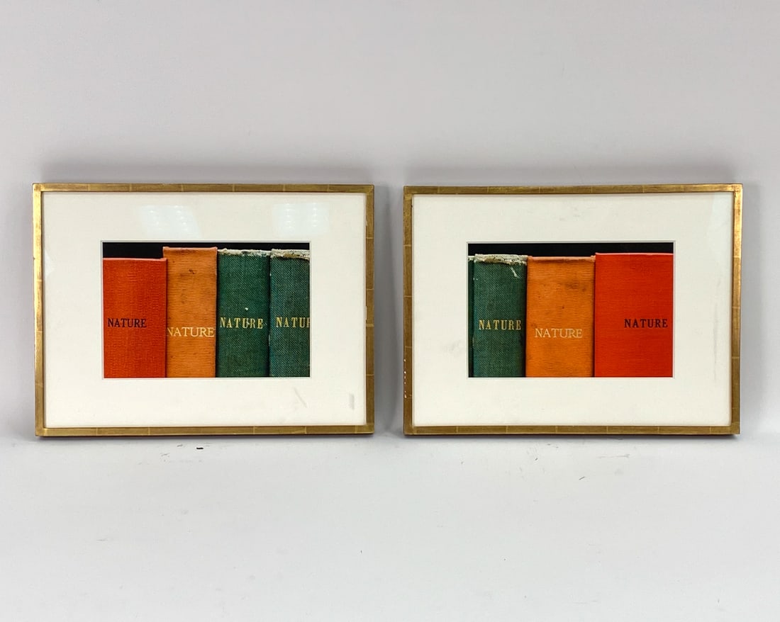 MICKEY SMITH (B. 1972) BOOK PHOTOGRAPHS (1 of 9)