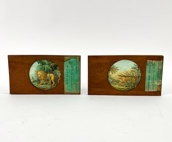 19TH C. LION & TIGER MAGIC LANTERN SLIDES