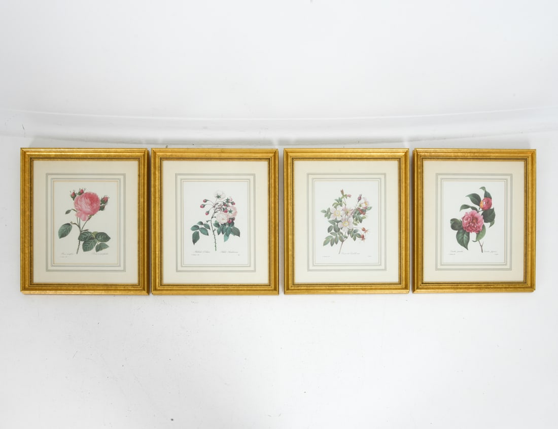 AFTER PIERRE-JOSEPH REDOUTE BOTANICALS (1 of 1)