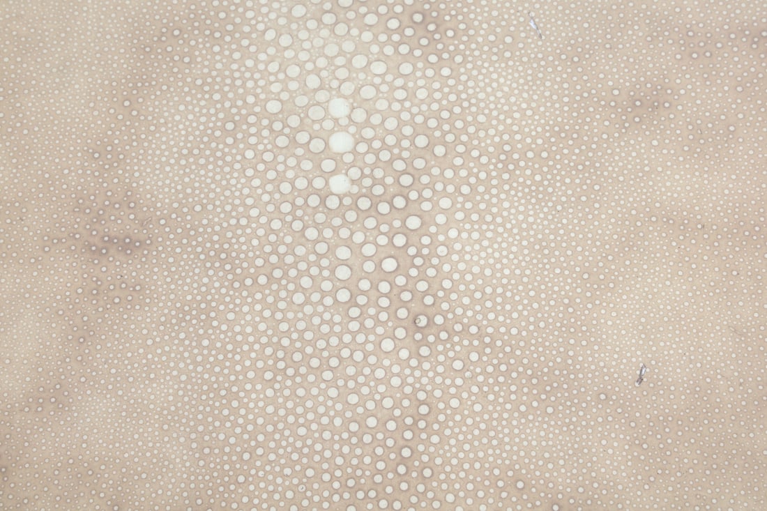 KARL SPRINGER STYLE SHAGREEN PATTERN DESK TABLE - 10