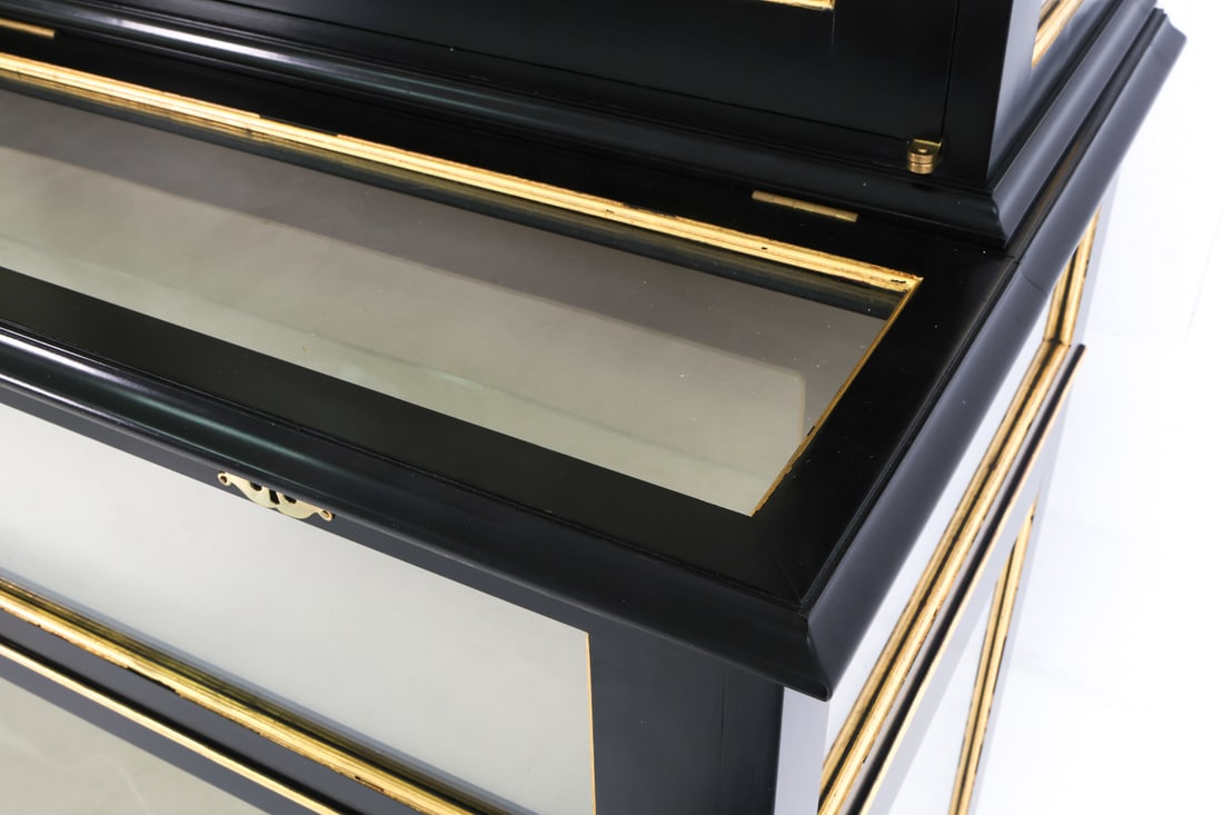 SMITH & WATSON EBONIZED DISPLAY VITRINE - 12