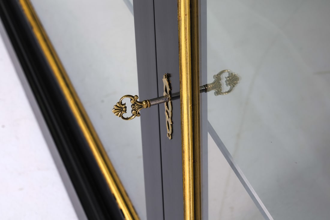 SMITH & WATSON EBONIZED DISPLAY VITRINE - 13