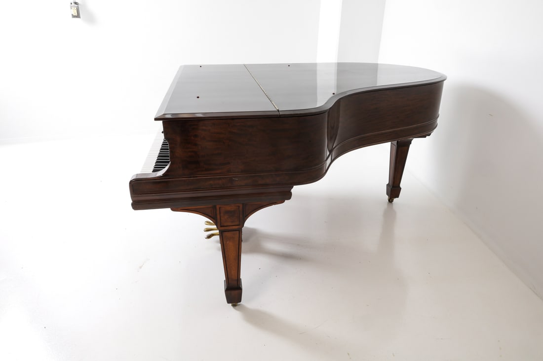 STEINWAY & SONS GRAND PIANO 1902 - 11