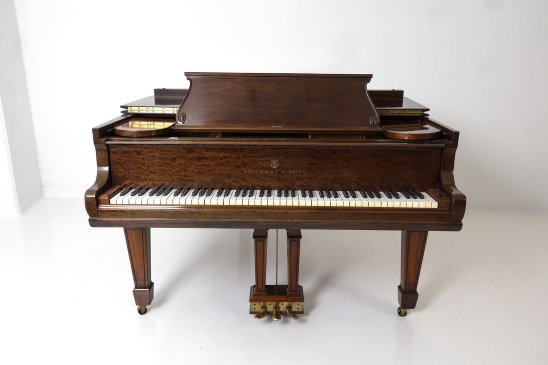 STEINWAY & SONS GRAND PIANO 1902 - 7