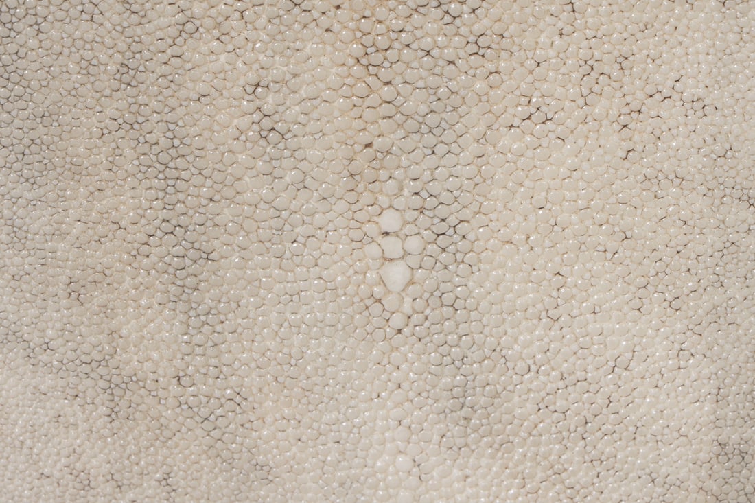 R & Y AUGOUSTI "LOLA" CHEST OF DRAWERS - 12