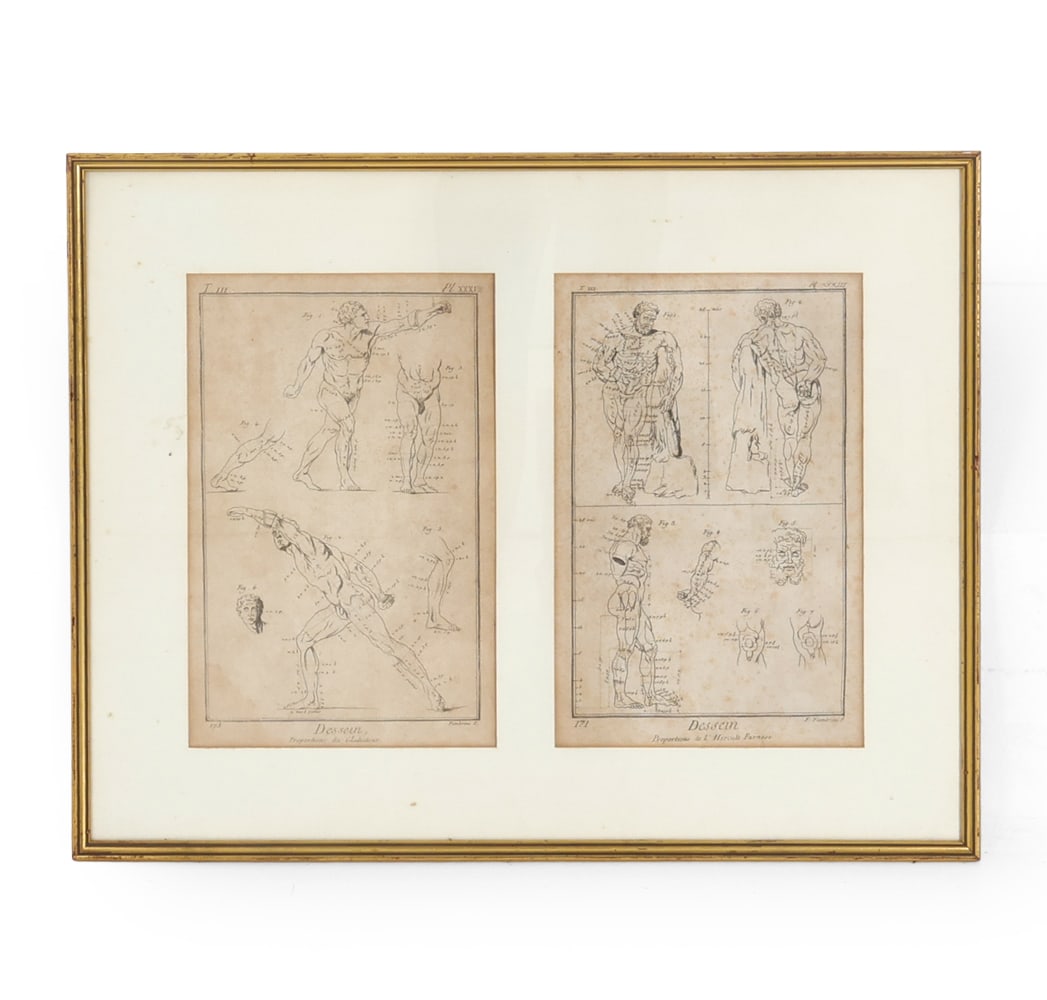 PAIR OF ANTIQUE ANATOMICAL ENGRAVINGS 18TH C. (1 of 10)