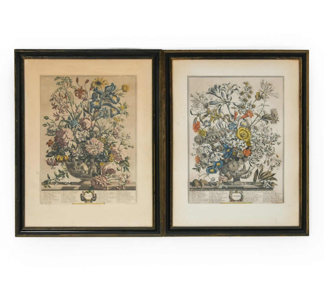ANTIQUE ROBERT FURBER BOTANICAL PRINTS (1 of 5)