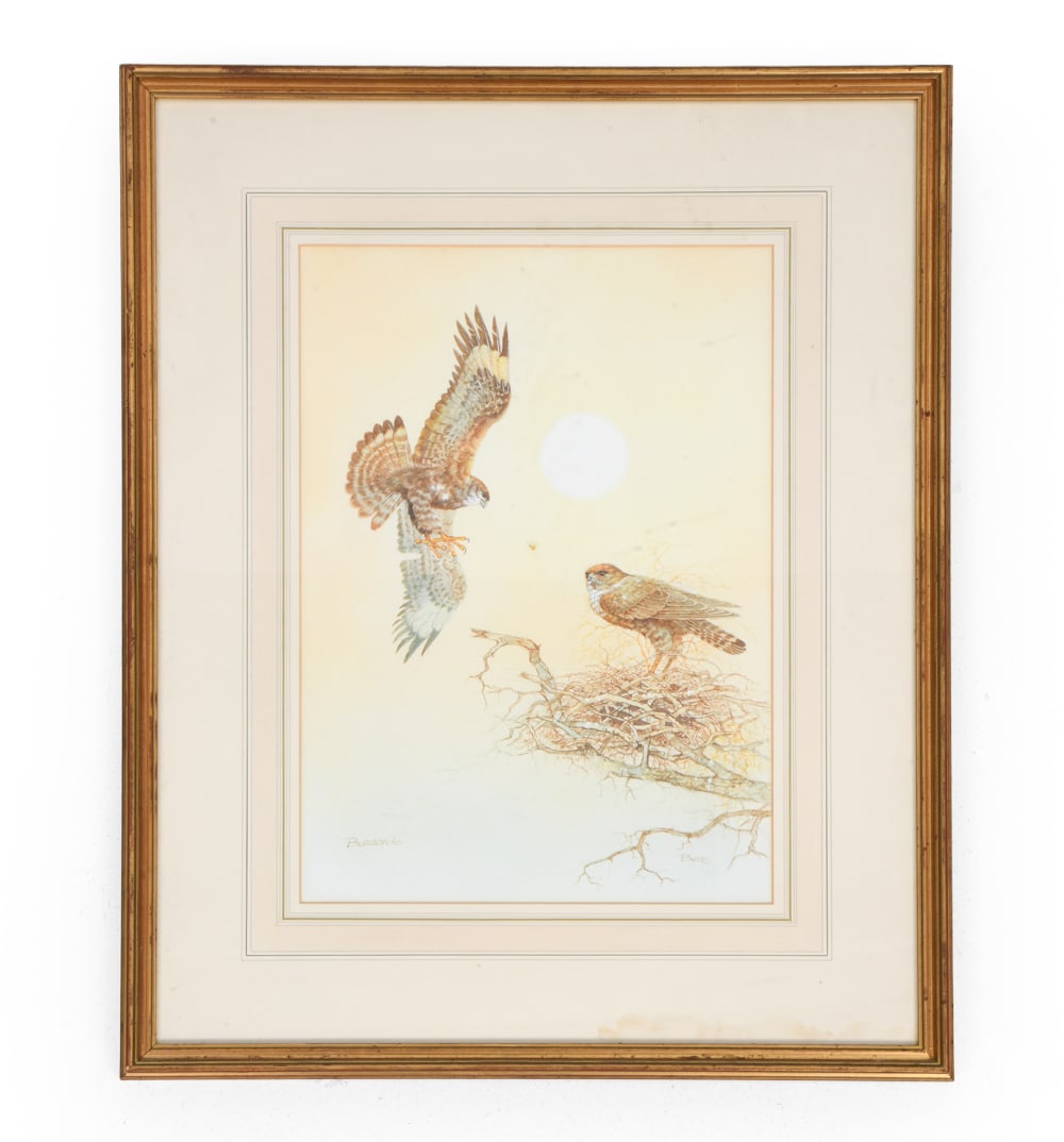 PETER BERE (B. 1938) BUZZARDS WATERCOLOR: Signed to lower right corner, titled to lower left. Titled "Buzzards", while depiction is of two hawks. 20th century. Dimensions: Frame H 24" x W 19.25". Sight H 16.75" x W 11". Condition: Not