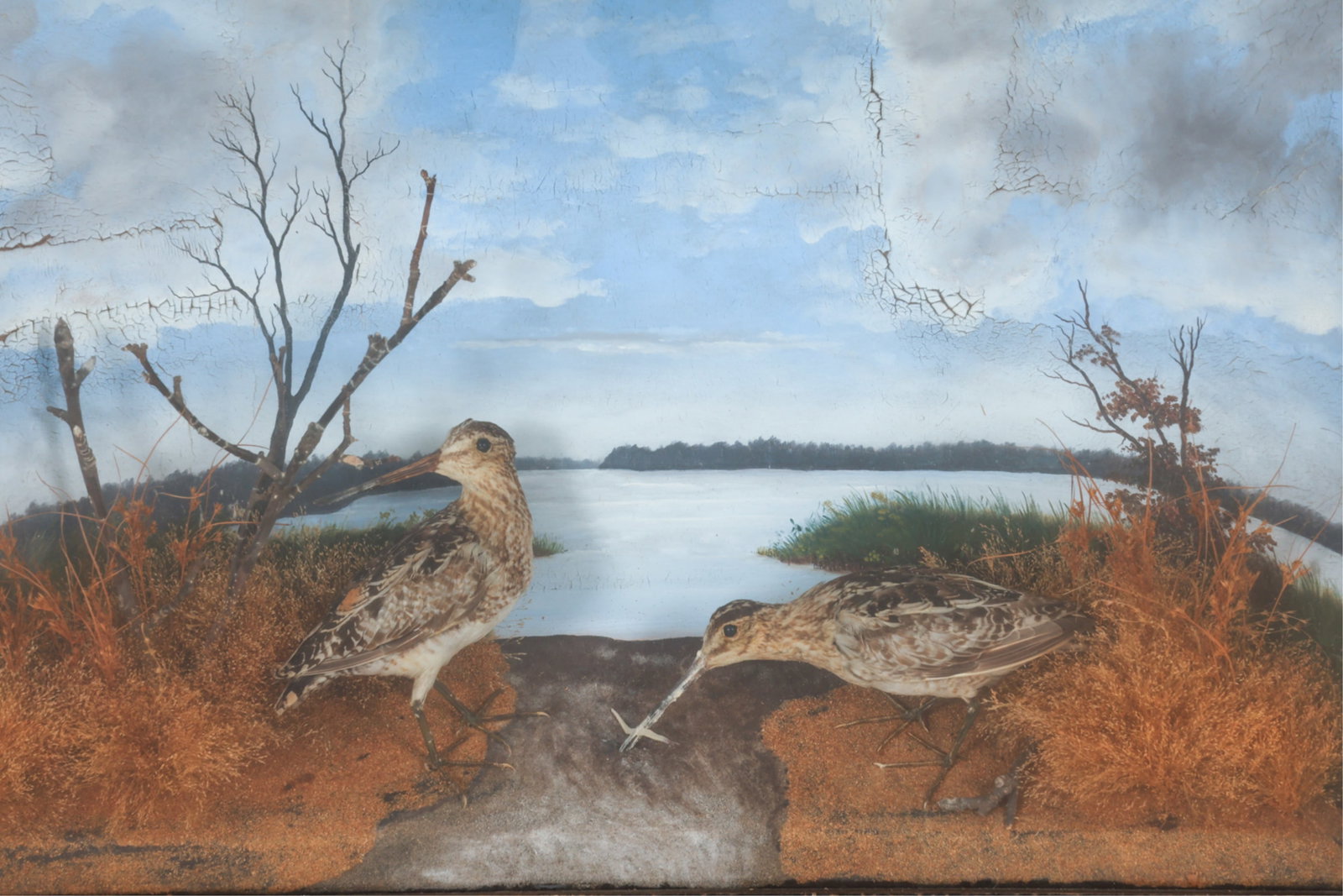 ANTIQUE BIRD DIORAMA - 2