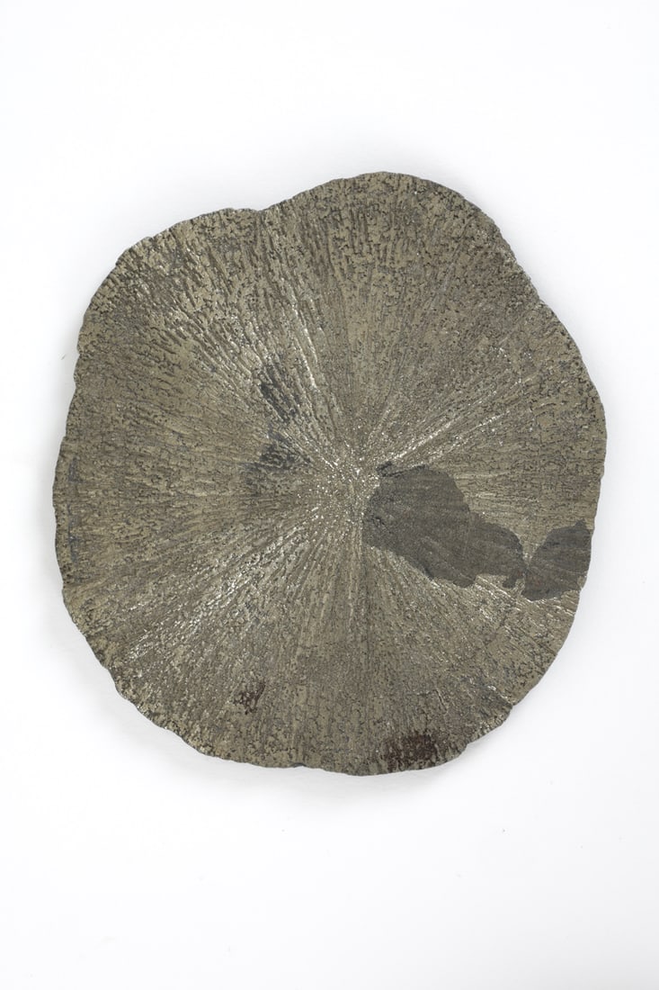 FOSSILS & PYRITIZED STONE GROUPING - 5