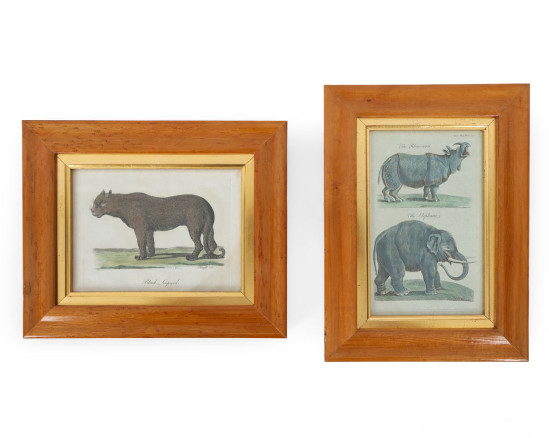 ZOOLOGICAL PRINTS INCL. MAZELL (IRISH, 1761-1797): (2) Reproduction prints Including: "The Elephant" and "The Rhinoceros" plate from the Dec. 1771 issue of Gentleman's Magazine and "Black Leopard" print by Peter Mazell. Marked to front. Maple frames. 