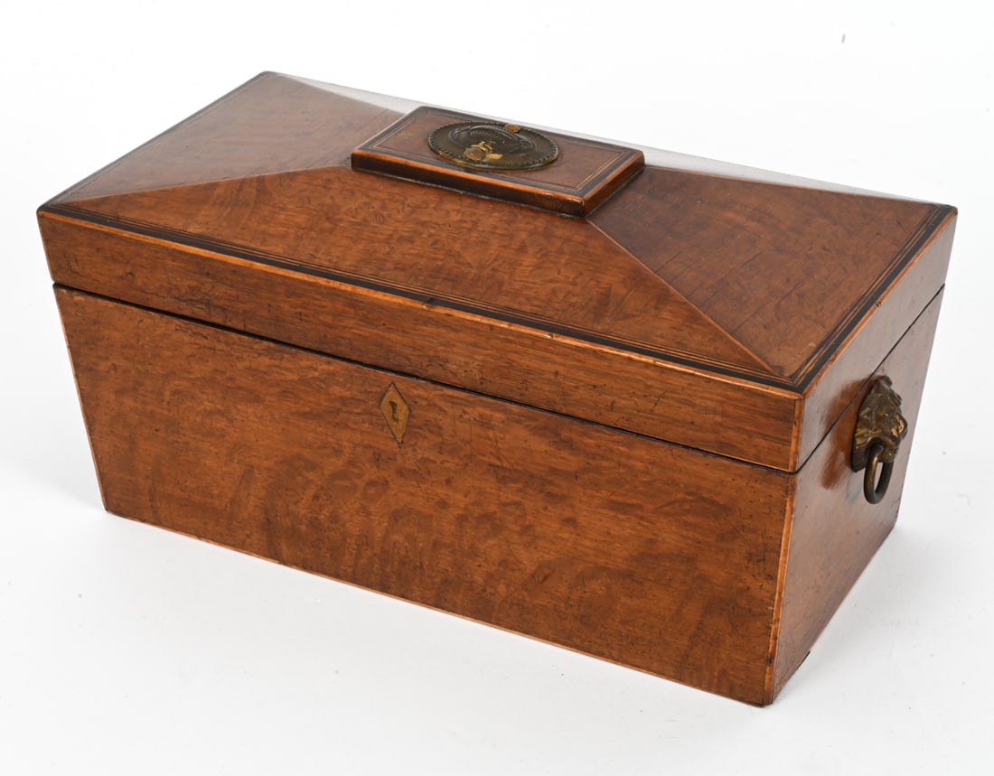 19TH CENTURY ENGLISH REGENCY TEA CADDY (1 of 17)