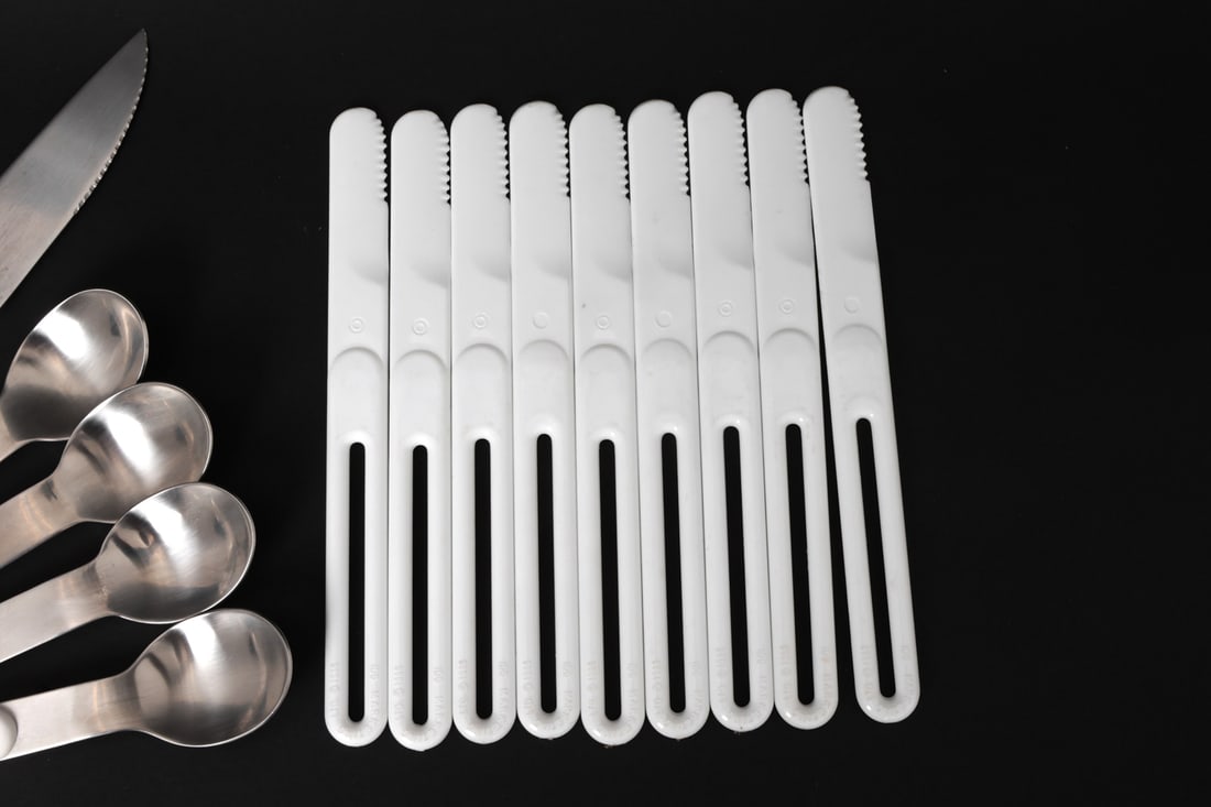 DANSK JENS QUISTGAARD SUMMERHOUSE FLATWARE - 6