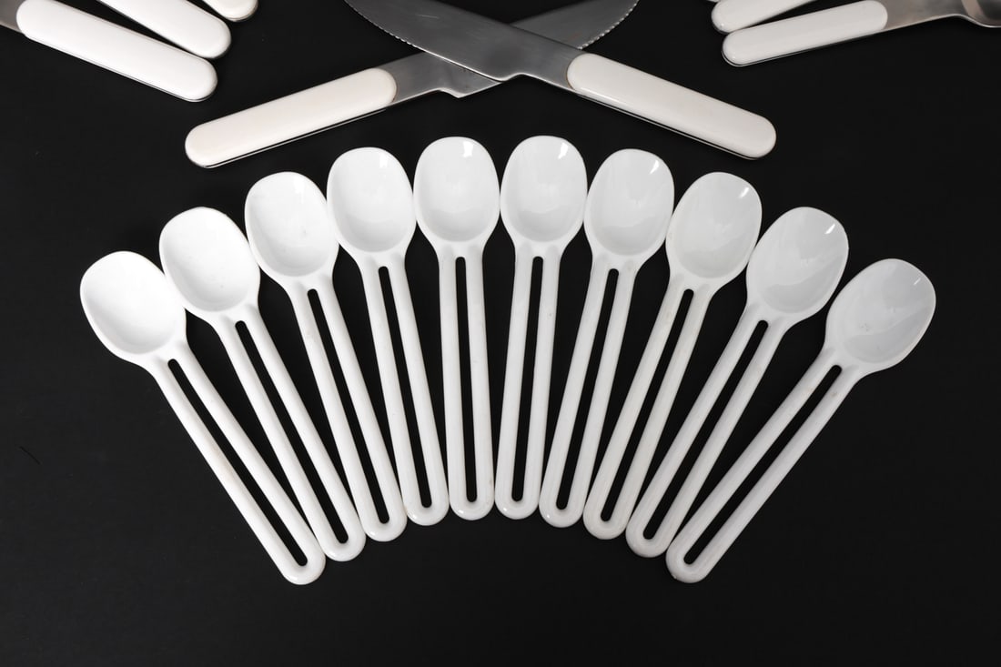 DANSK JENS QUISTGAARD SUMMERHOUSE FLATWARE - 7