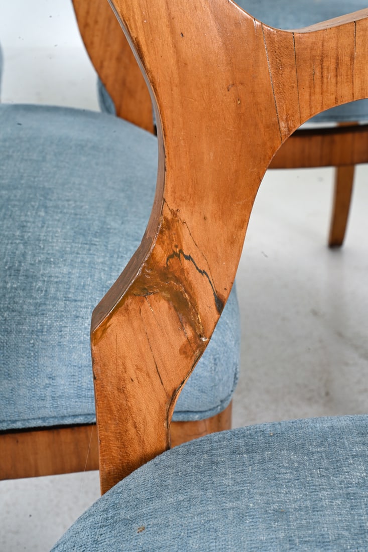 (6) ROCOCO STYLE BIRCH DINING CHAIRS - 4