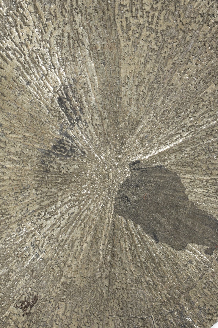 FOSSILS & PYRITIZED STONE GROUPING - 9