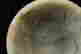 item-20261728=6