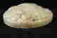item-20261728=8