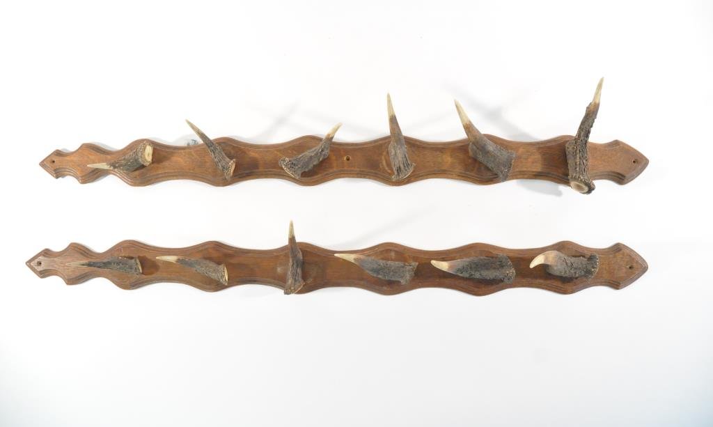 PAIR OF ARTS AND CRAFTS HORNED COAT OR GUN RACKS: Of oak wood, having 6 natural antler hooks on each rack, comes with non-original hardwareDimensions: H 3.5" x W 38" x D 6"Condition: good, unmarked