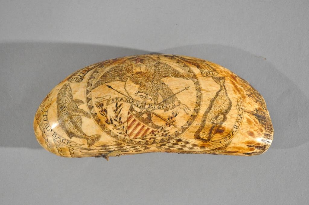 EARLY AMERICAN WHALING SCRIMSHAW WHALE TOOTH: Very finely engraved with subtle uses of red ink. On the front is a bald eagle carrying a ribbon that reads: "Seamans Rights" as well as a shield and olive branches. Also engraved is a Humpback and Sp