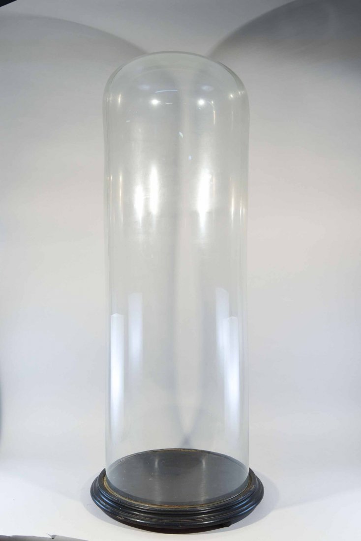 TALL GLASS DISPLAY DOME (1 of 3)