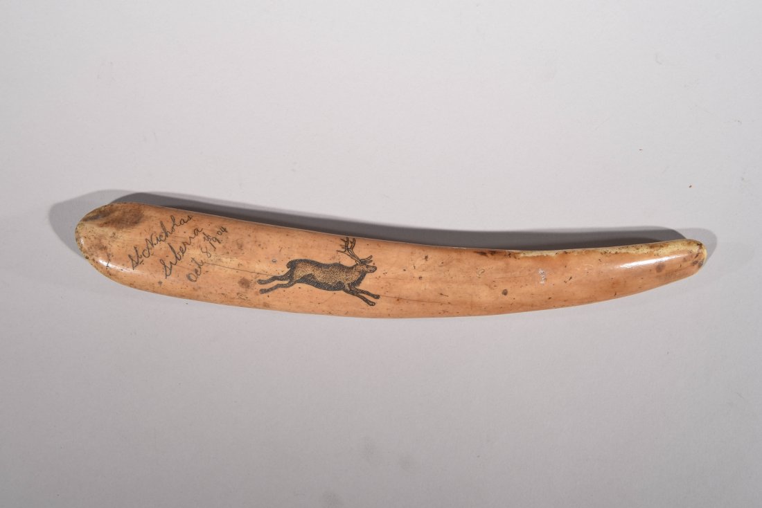 1904 CARVED BONE BATON SCRIMSHAW: Marked "St. Nicholas Siberia, Oct 8. 1904" with carved image of a reindeer/elk running. Dimensions: H11 7/8" x W 12.5" Condition: Good.